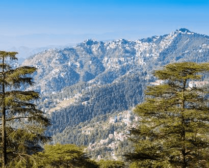 Kufri Hill Station vs Shimla: Which Should You Choose?